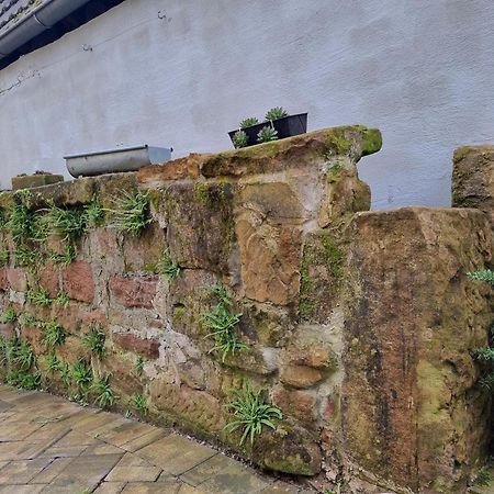 Haus Ziegenblick Villa Herbolzheim Kültér fotó